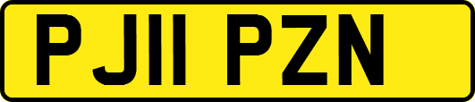 PJ11PZN