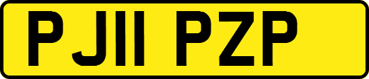PJ11PZP