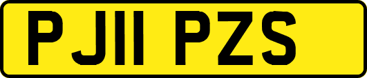 PJ11PZS