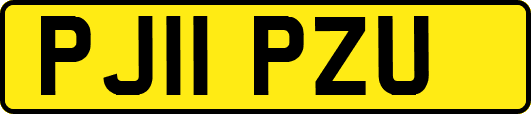 PJ11PZU