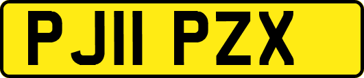 PJ11PZX