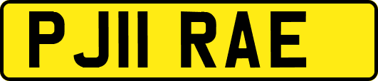 PJ11RAE