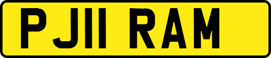 PJ11RAM