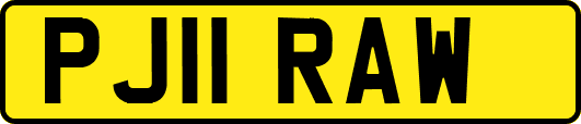 PJ11RAW