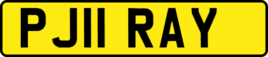 PJ11RAY
