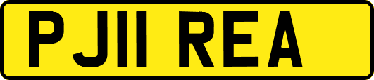 PJ11REA