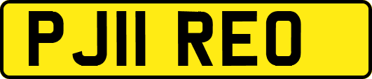 PJ11REO