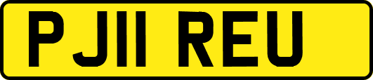 PJ11REU