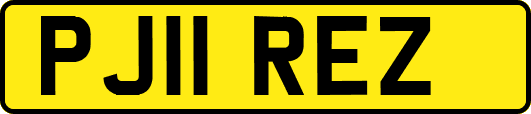 PJ11REZ