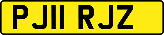 PJ11RJZ