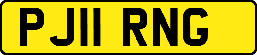 PJ11RNG