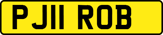 PJ11ROB
