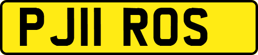 PJ11ROS