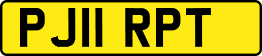 PJ11RPT