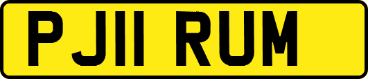 PJ11RUM