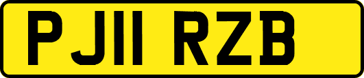 PJ11RZB
