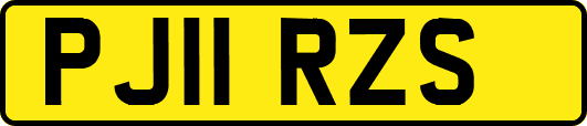 PJ11RZS