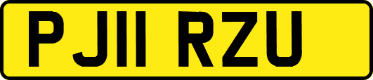 PJ11RZU