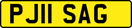 PJ11SAG