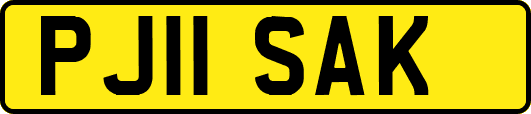 PJ11SAK