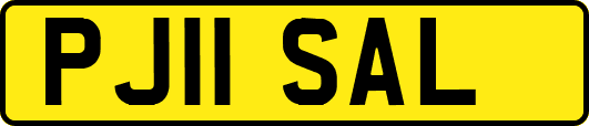 PJ11SAL