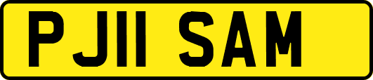 PJ11SAM