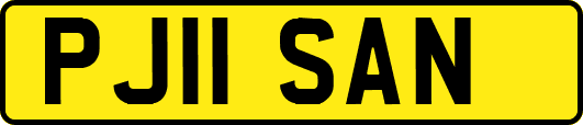 PJ11SAN