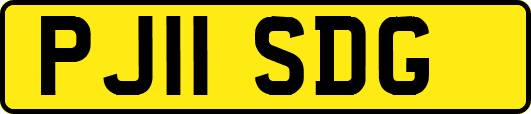 PJ11SDG