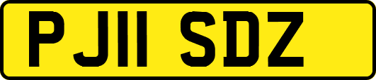 PJ11SDZ