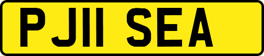 PJ11SEA