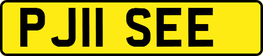 PJ11SEE