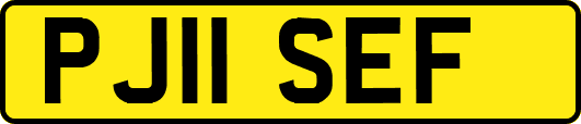 PJ11SEF