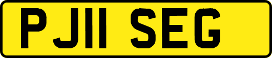 PJ11SEG
