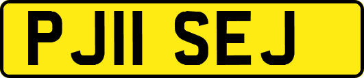 PJ11SEJ