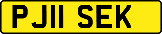 PJ11SEK