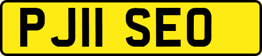 PJ11SEO