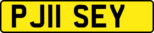 PJ11SEY