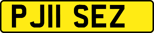 PJ11SEZ