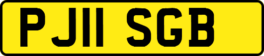 PJ11SGB