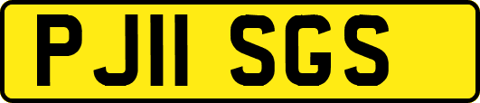 PJ11SGS