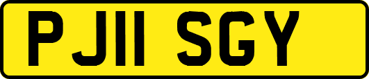 PJ11SGY