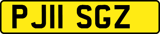 PJ11SGZ