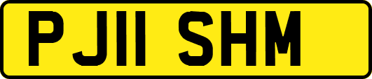 PJ11SHM