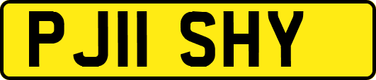 PJ11SHY