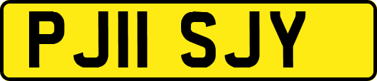 PJ11SJY