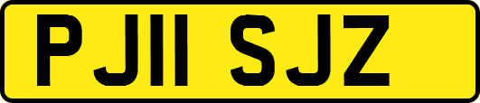 PJ11SJZ