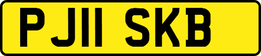 PJ11SKB