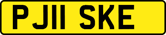 PJ11SKE