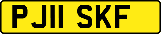 PJ11SKF