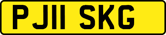 PJ11SKG